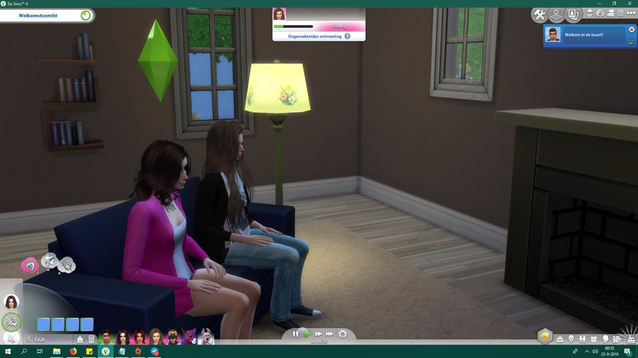 Doors missing on every house, Sims interface gone, mystery. The Sims