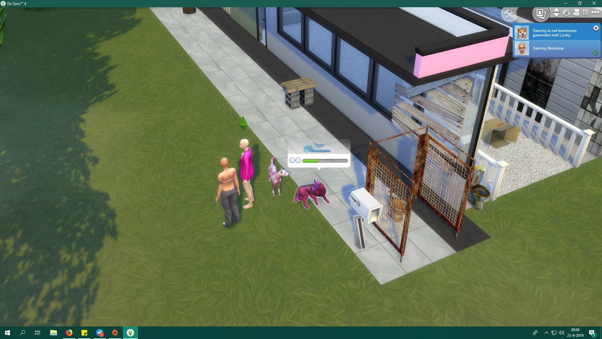 Doors missing on every house, Sims interface gone, mystery. The Sims