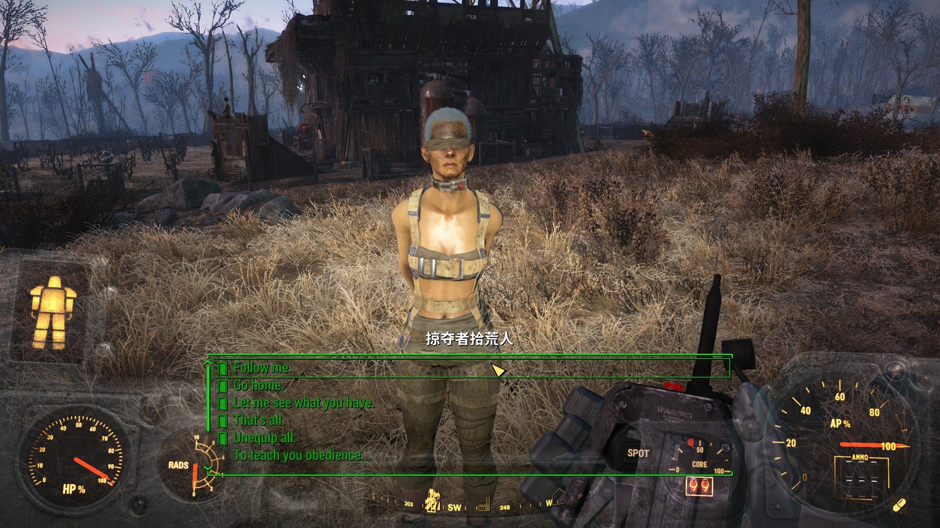 Fallout 4 hot mama npcs фото 94
