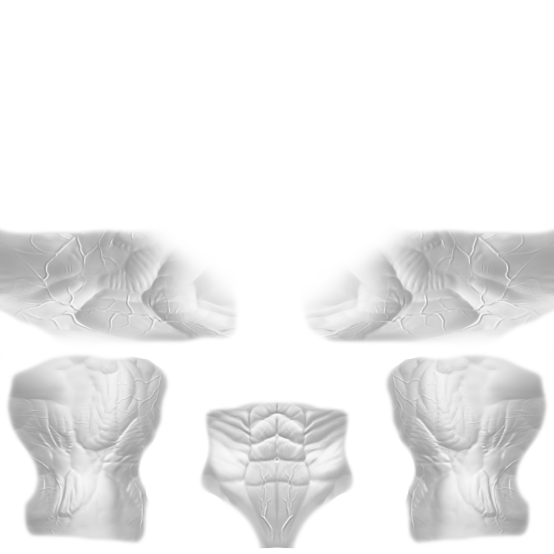 CBBE MUSCLES.png