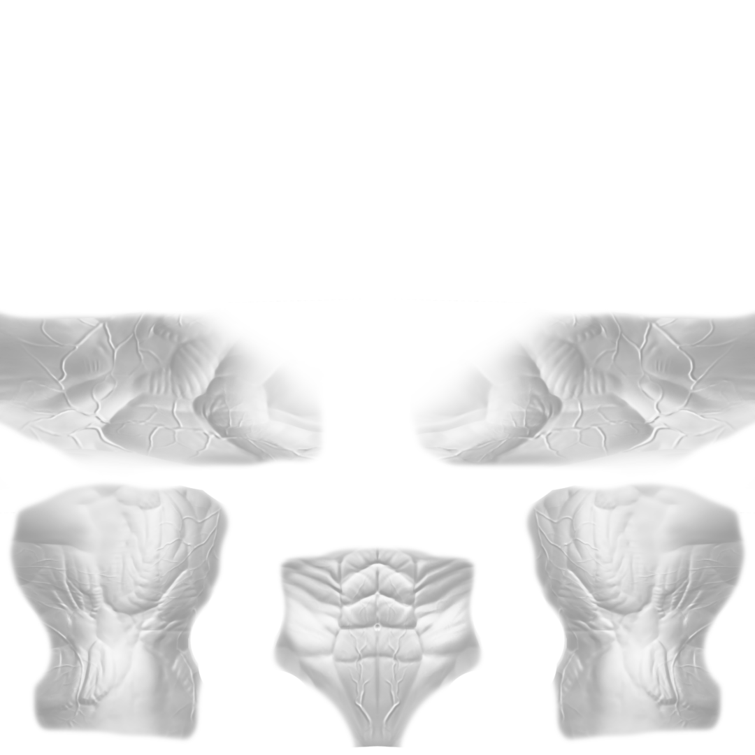 CBBE muscle maps Fallout 4 Adult - 1260141802 CBBEMUSCLES.thumb .b7cea23d388cee6b4652c76de0e5f59a