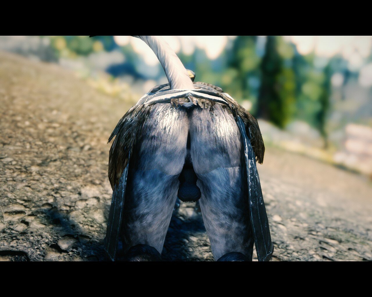 Yiffy Age Of Skyrim Page 276 Downloads Skyrim Adult And Sex Mods