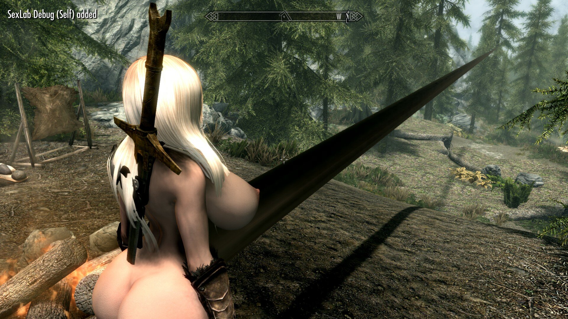 Skyrim sex scene teleport into air