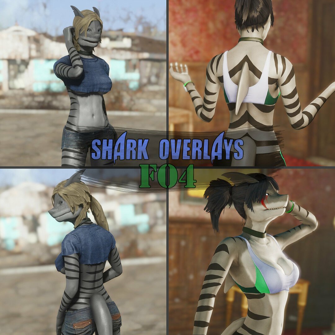 SharkOverlaysBanner