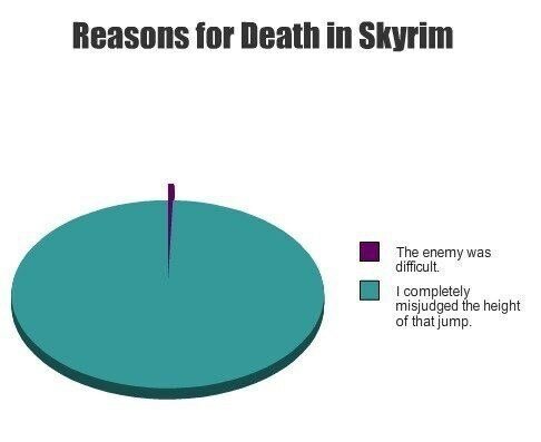 reasons-for-death-in-skyrim-the-enemy-was-difficult-i-completely-misjudged-the-height-of-that-jump.jpg
