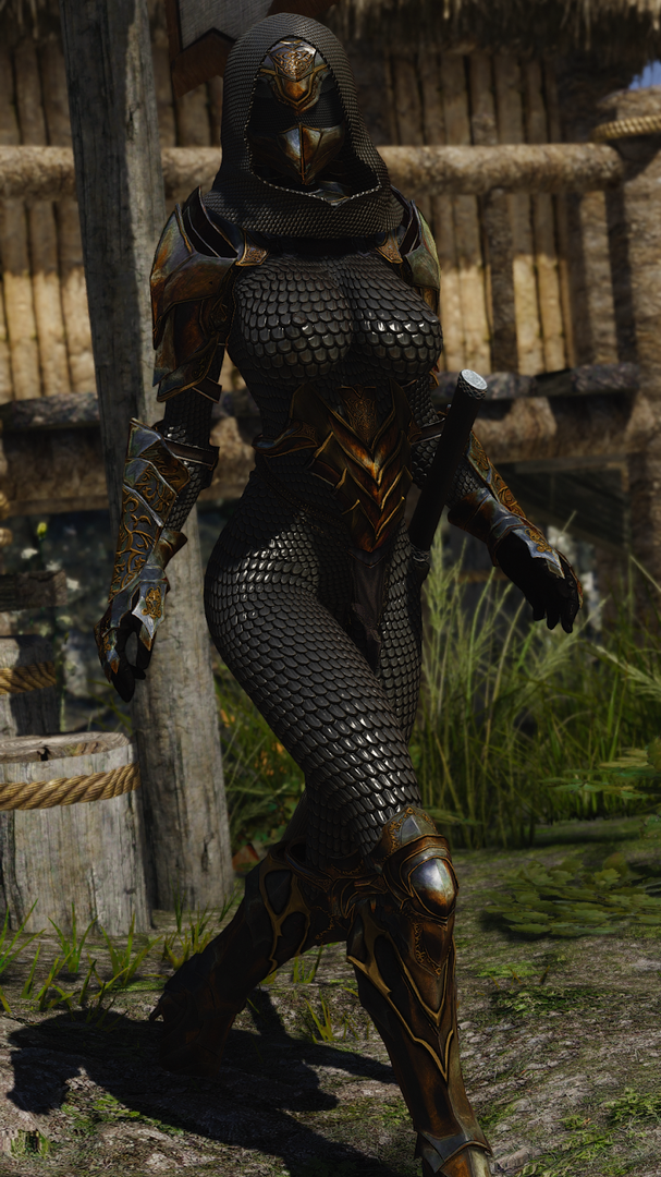 [SEARCH] Looking this armor - Request & Find - Skyrim Non Adult Mods