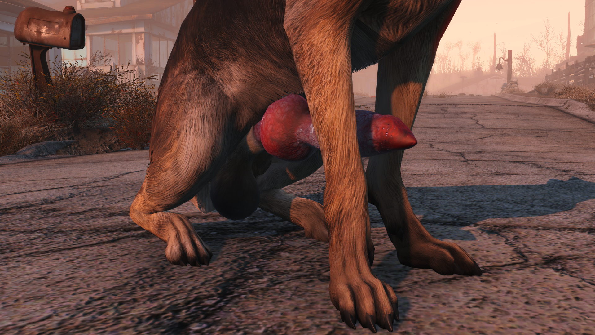 Fallout 4 dogmeat sex scene