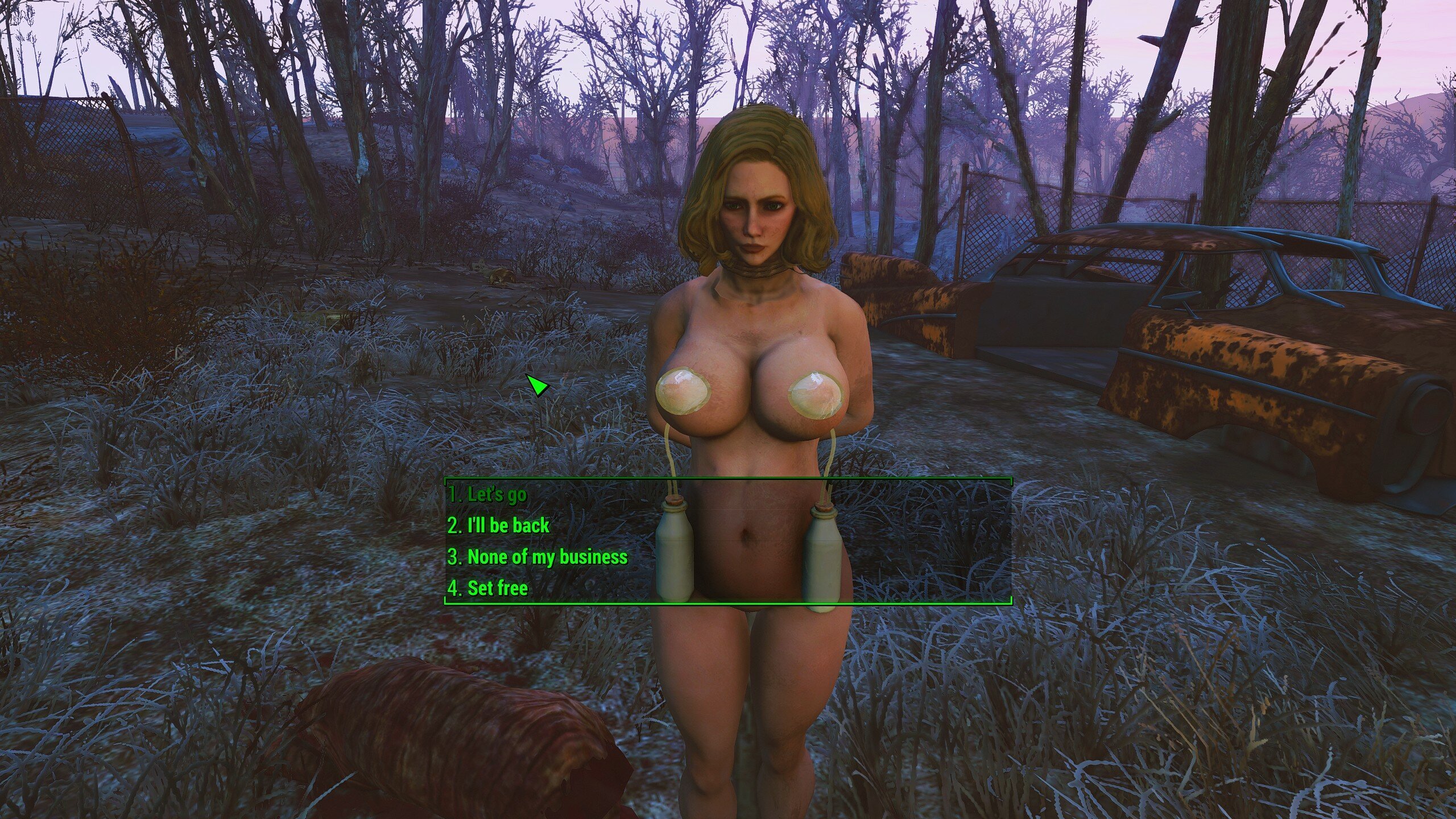 Fallout 4 commonwealth slavers (120) фото