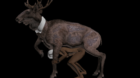 There are no radstag animations. 