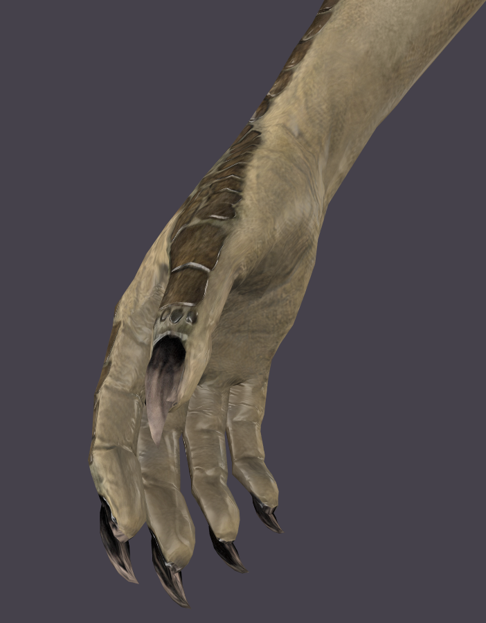 Hand_4k.png.e5d4eb154b3271506c55c3294379b968.png