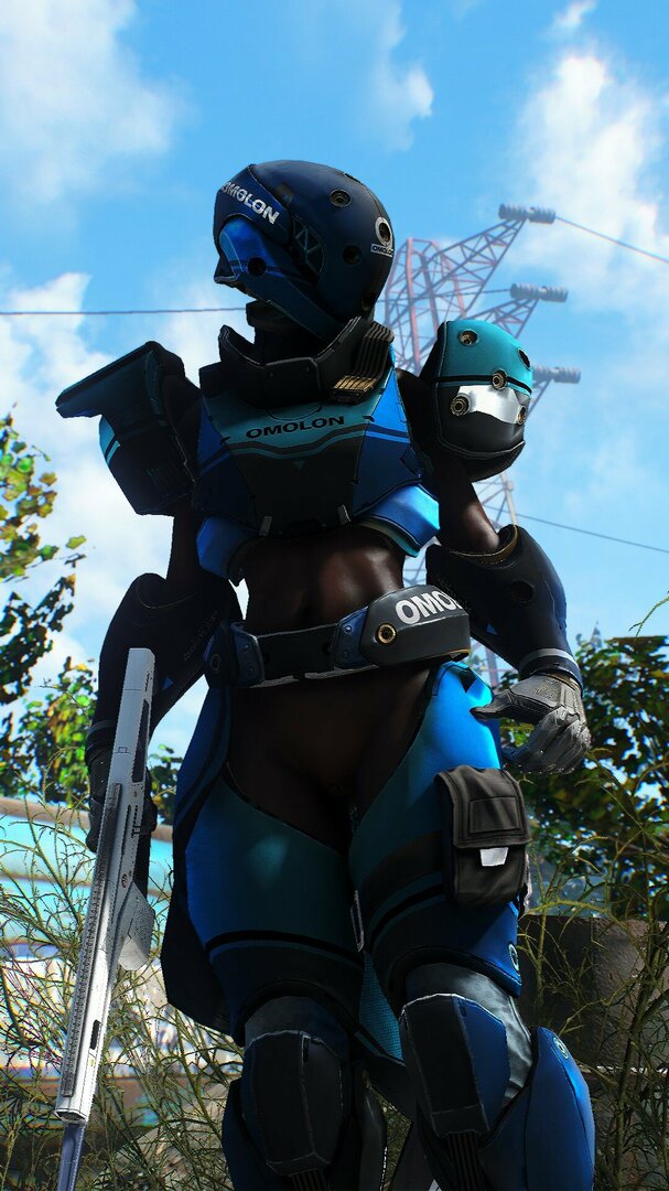 Fallout 4 Destiny 2's Skimpify armors. - Pickle Fallout 4 Pics (NSFW