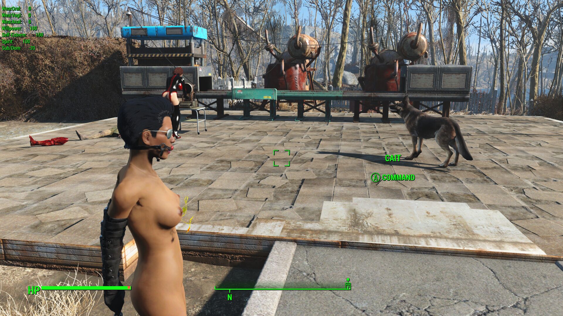 Fallout 4 sex lab фото 5