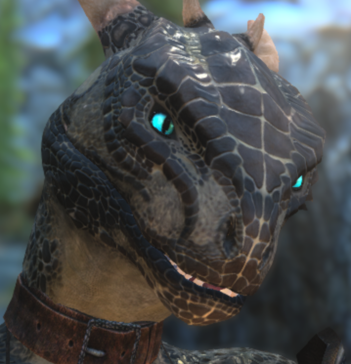 I Want A Sexy Argonian Head Mesh Request Find Skyrim Non Adult