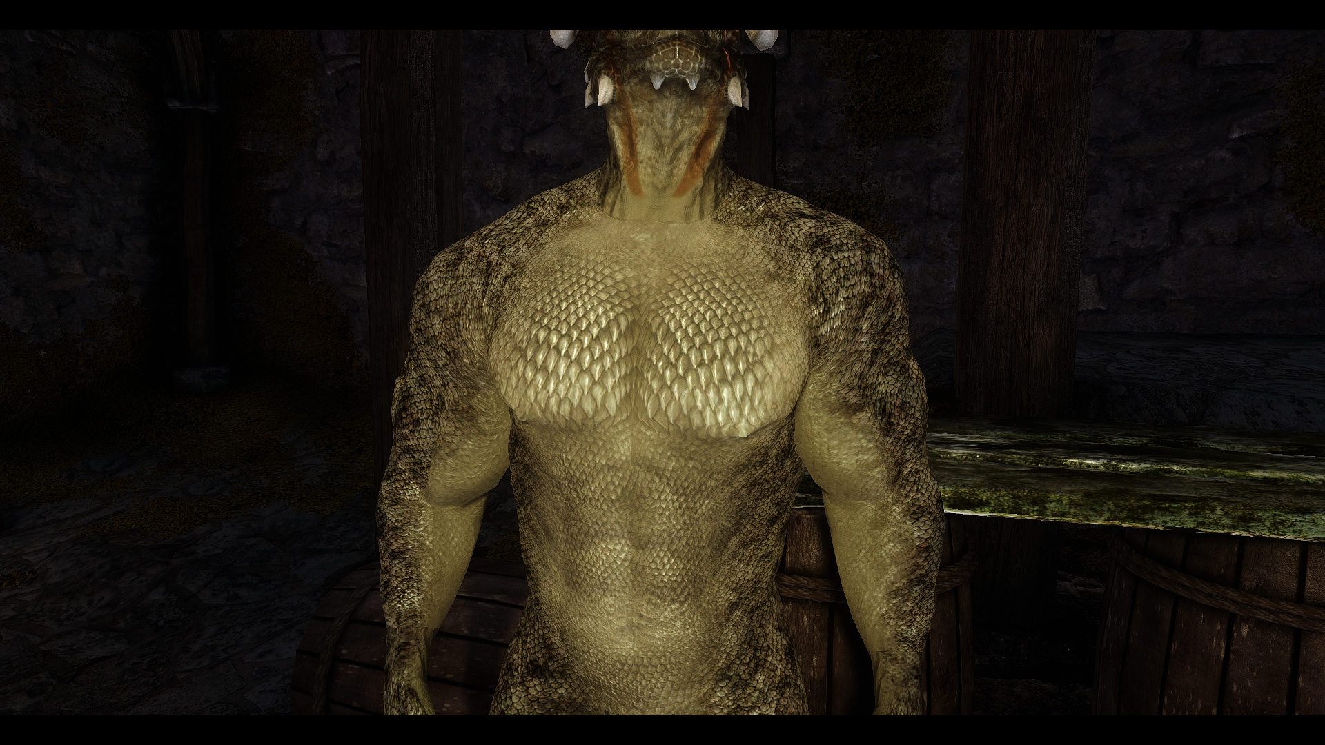 HELP ME PLEASE! Schlongs of Skyrim clothes refit. - Skyrim Adult Mods -  LoversLab