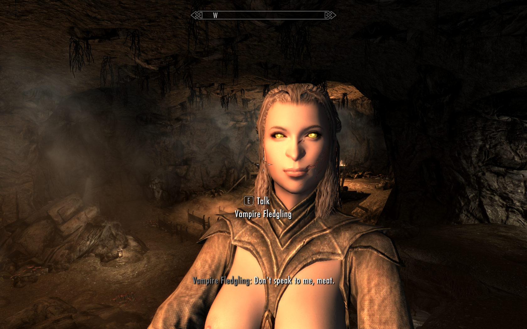 Fixing a fucked up vampire face? - Skyrim Technical Support - LoversLab