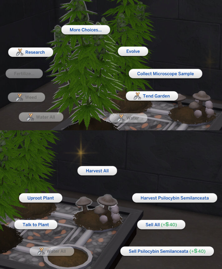 Basemental Drugs 7.15.150 (Updated Apr 1 2022) - Page 127 - Downloads - The Sims  4 - LoversLab