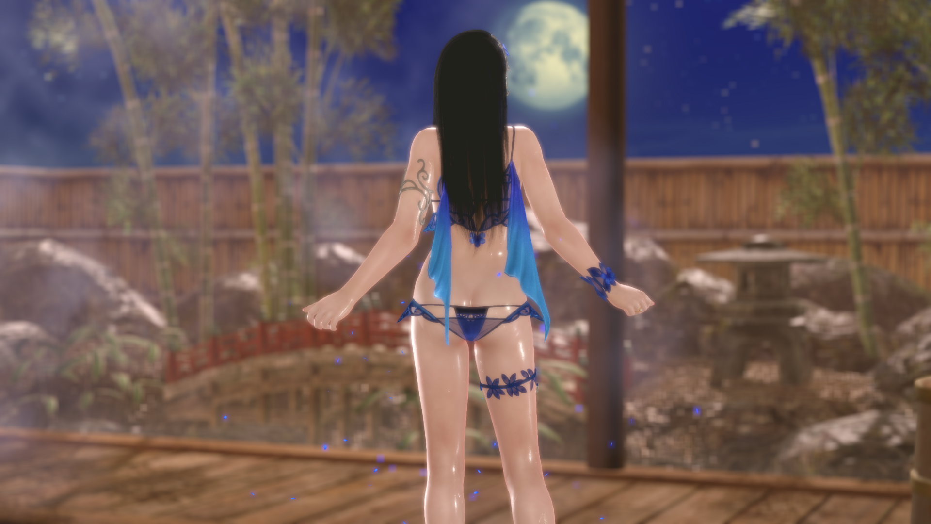 DEAD OR ALIVE Xtreme Venus Vacation [JP]_2022.01.23-20.59.png