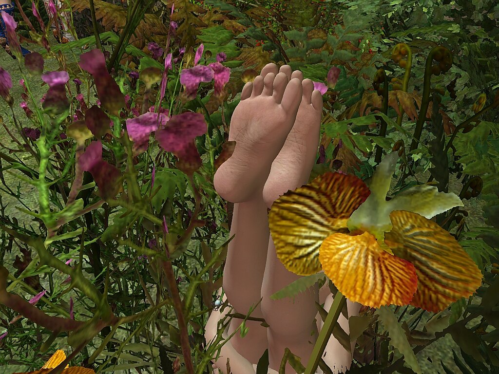 Lara_feet_among_flowers_01a.jpg.7dc770464f03c697934f45da8698a5f9.jpg