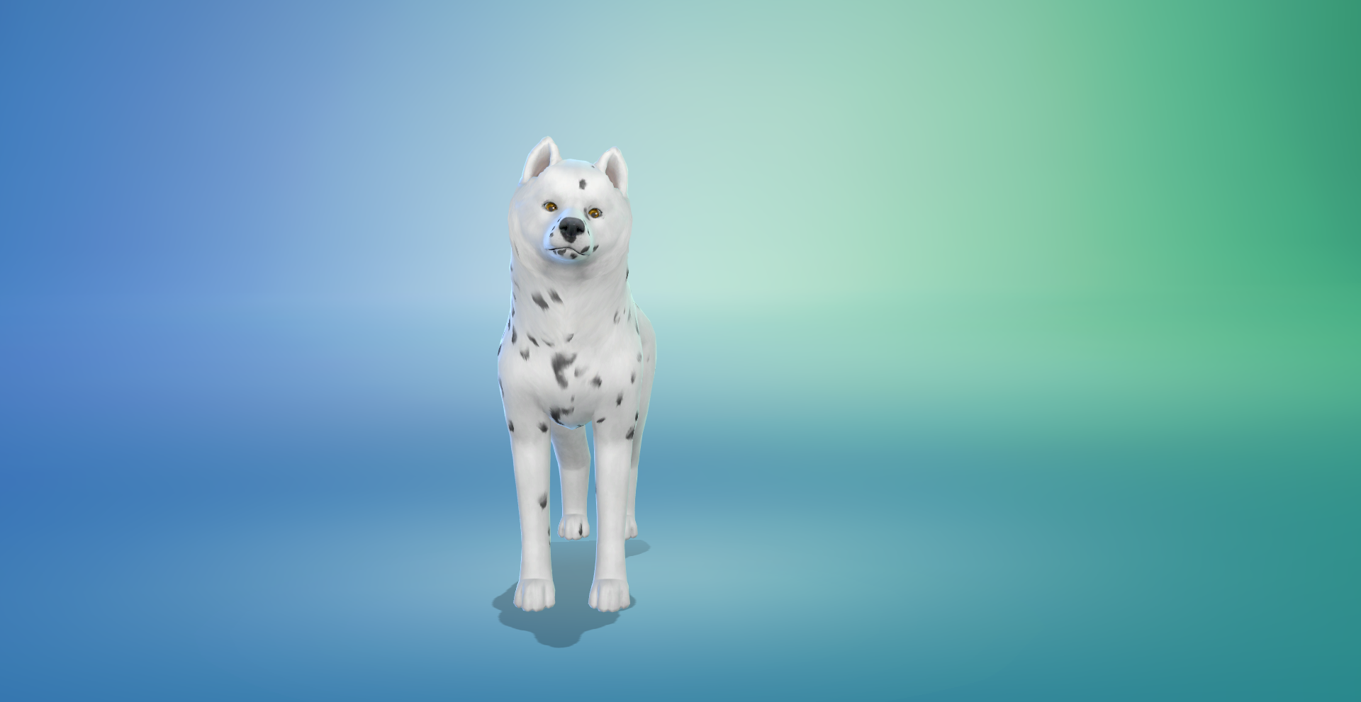 Really weird pets glitch. (SWF) The Sims 4 Technical Support LoversLab