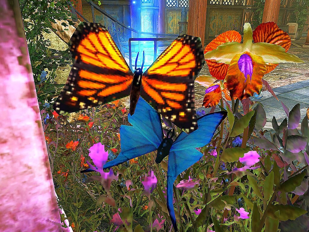 dancing_butterflies.jpg.7740b28ed4d4b8df0f921a868ae4ccff.jpg
