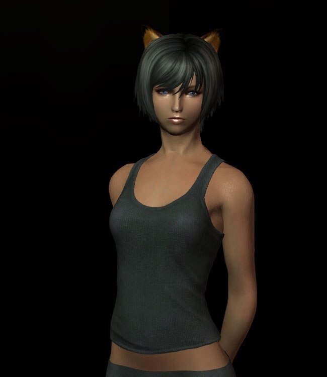 Calyps Animal Ears SSE Regular Mods LoversLab