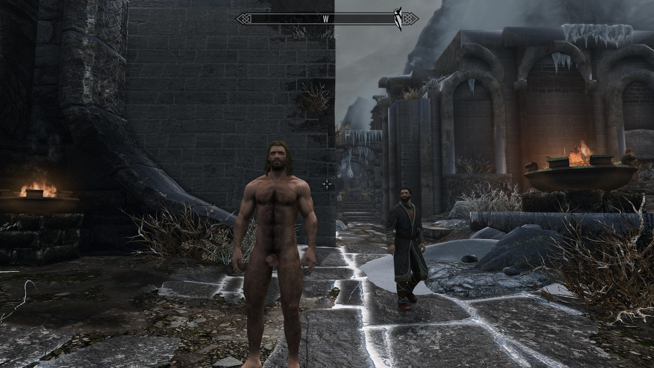 Skyrim penis mod