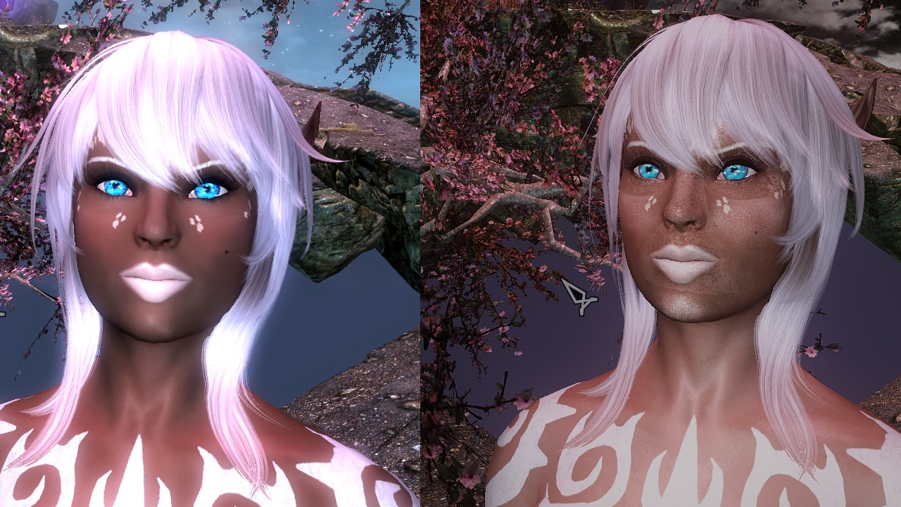 ENB makes face texture grainy/dirty look - Skyrim Technical Support ...