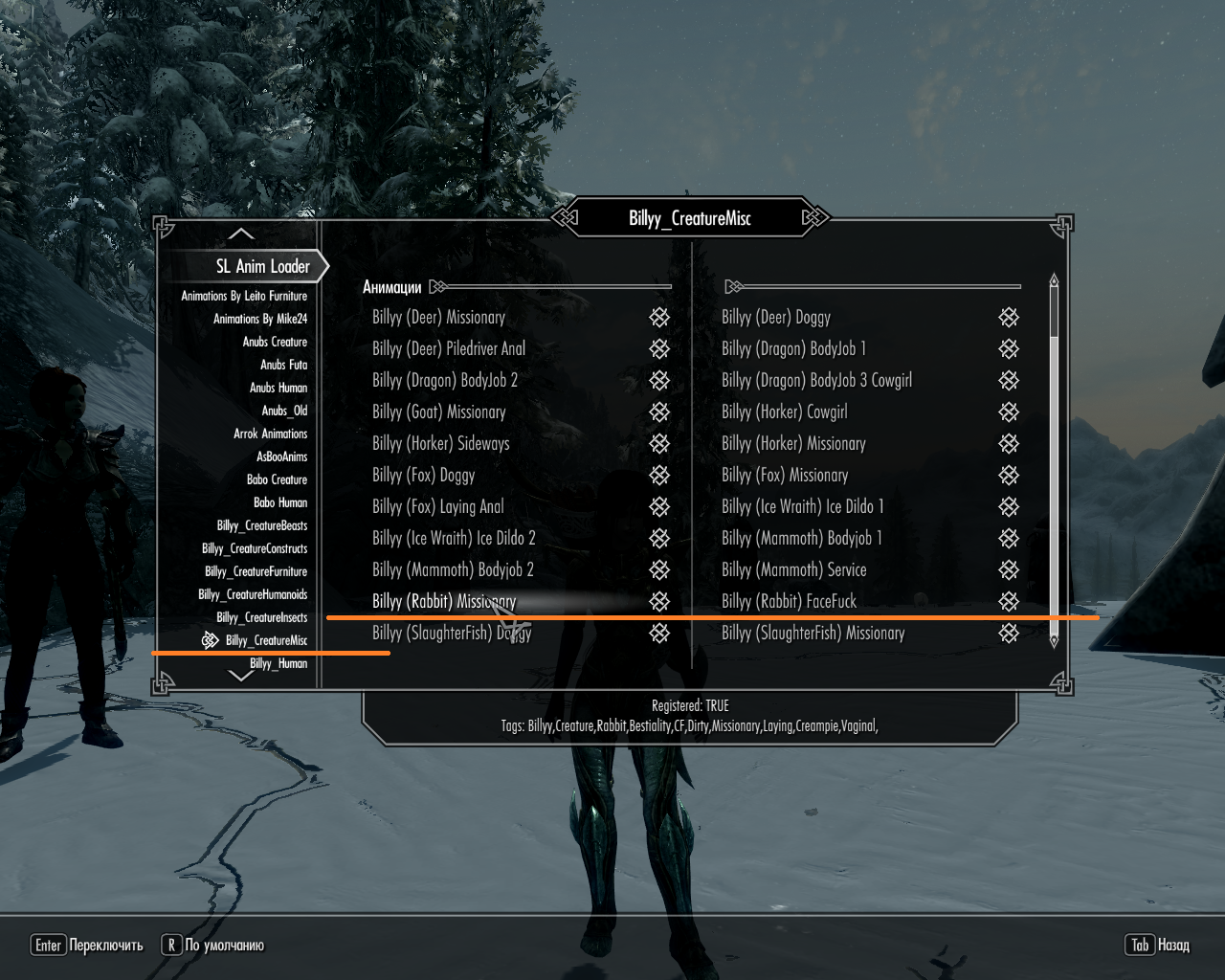 Babo follower framework