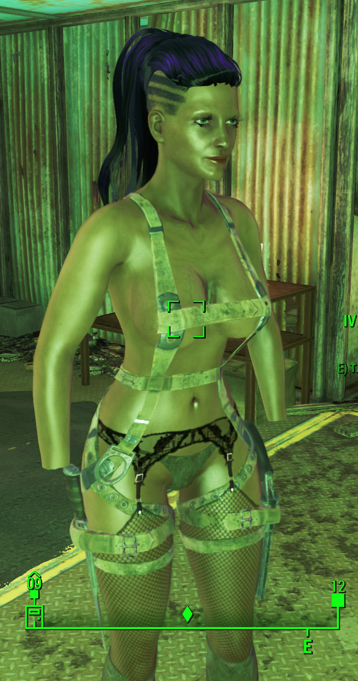 Prettier NPC Bosses - Page 3 - Downloads - Fallout 4 Non Adult Mods -  LoversLab