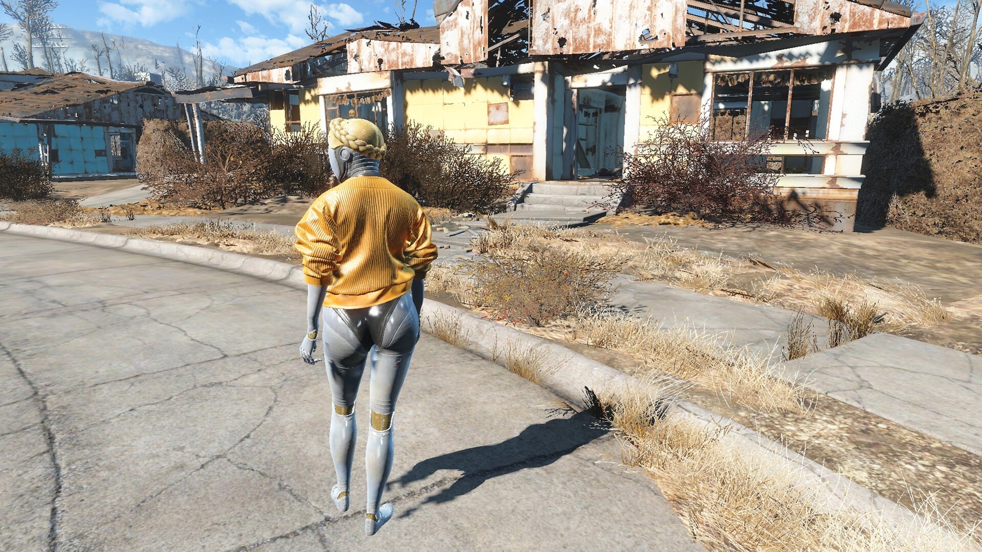 Fallout4_2023_02_25_09_41_22_565.jpg