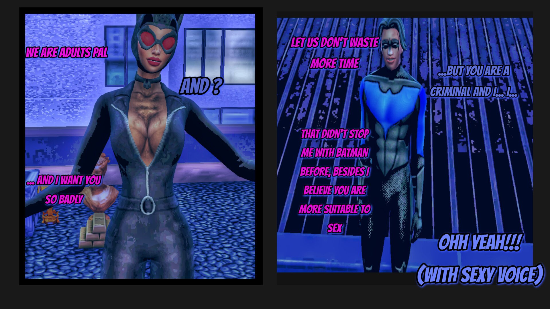 Catwoman Nightwing (8).jpg