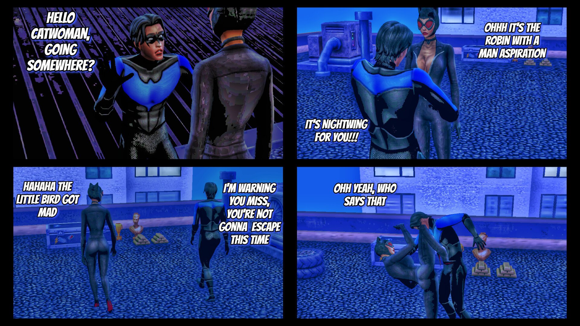 Catwoman Nightwing (3).jpg