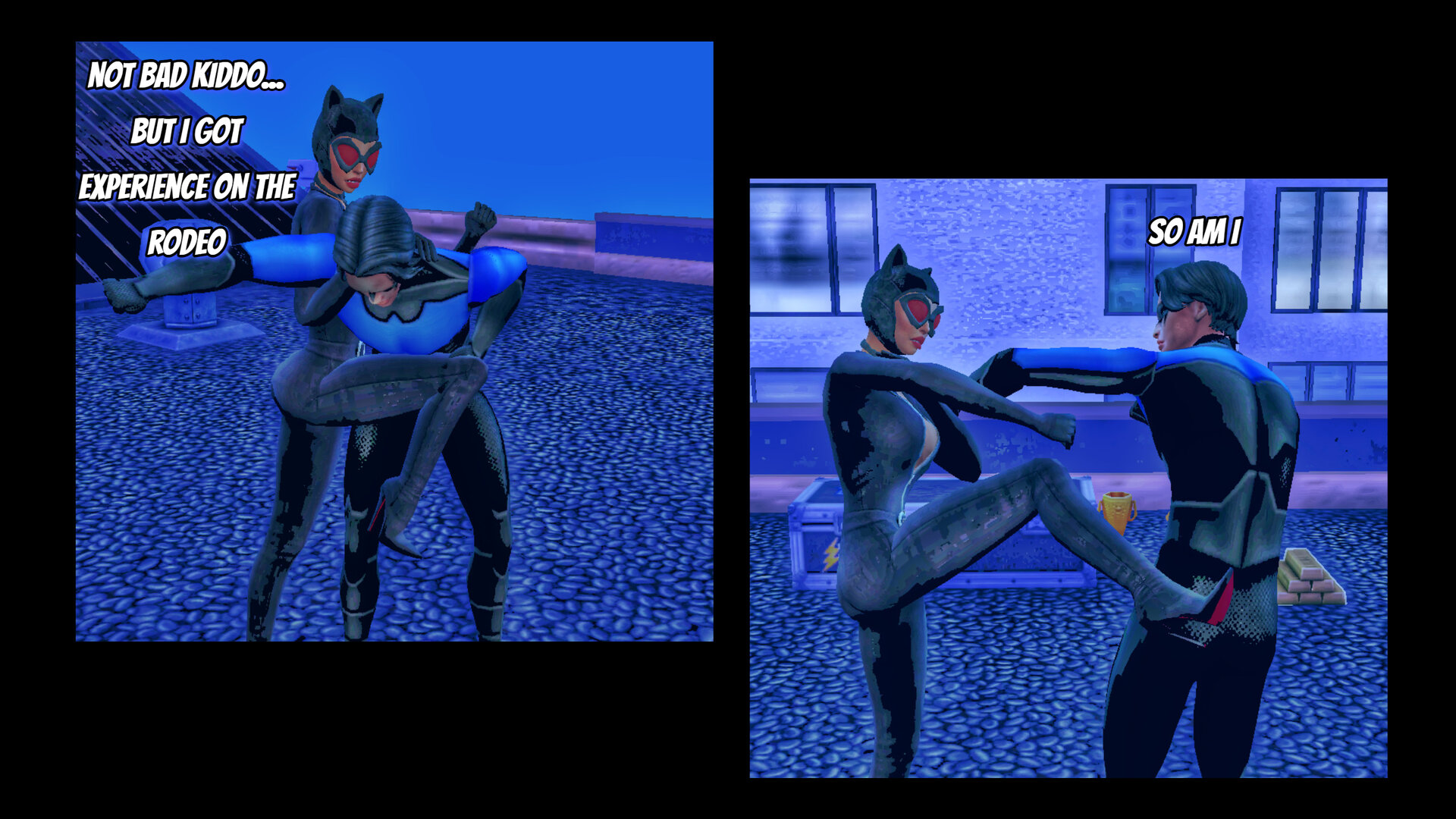 Catwoman Nightwing (5).jpg