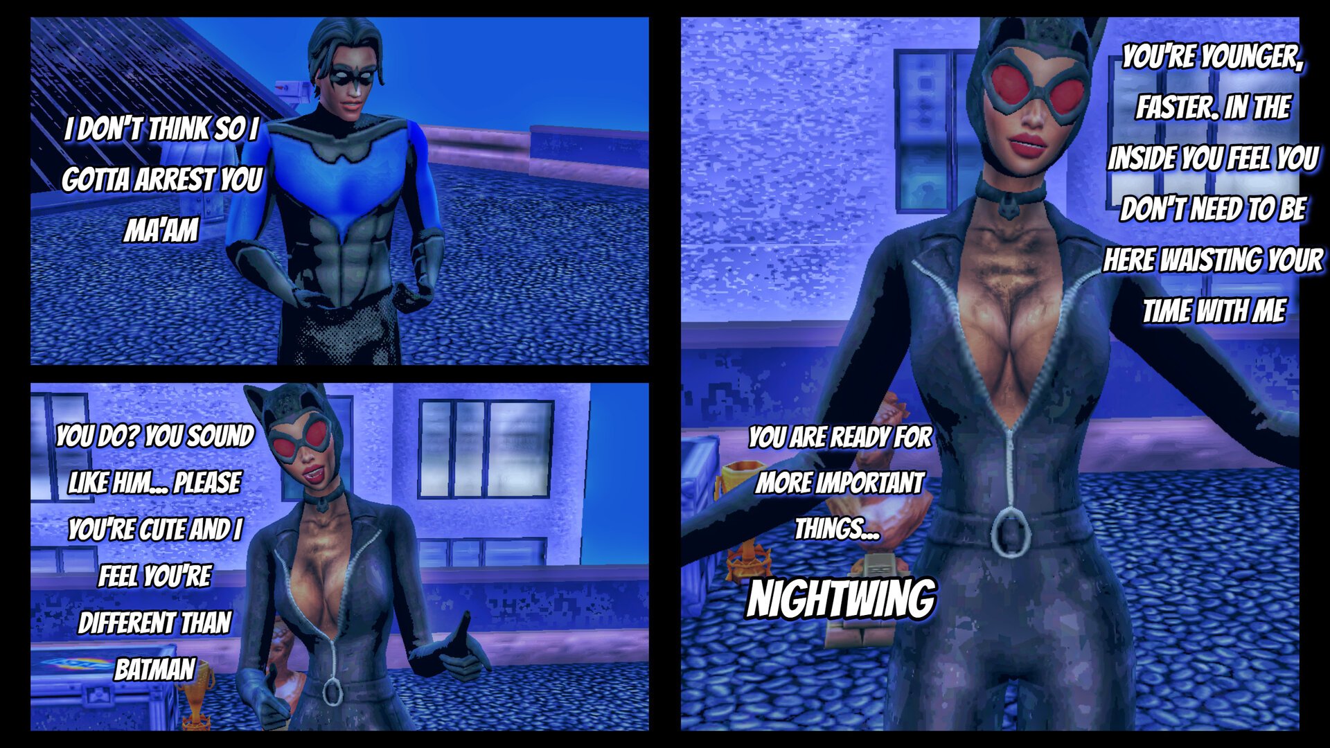 Catwoman Nightwing (7).jpg