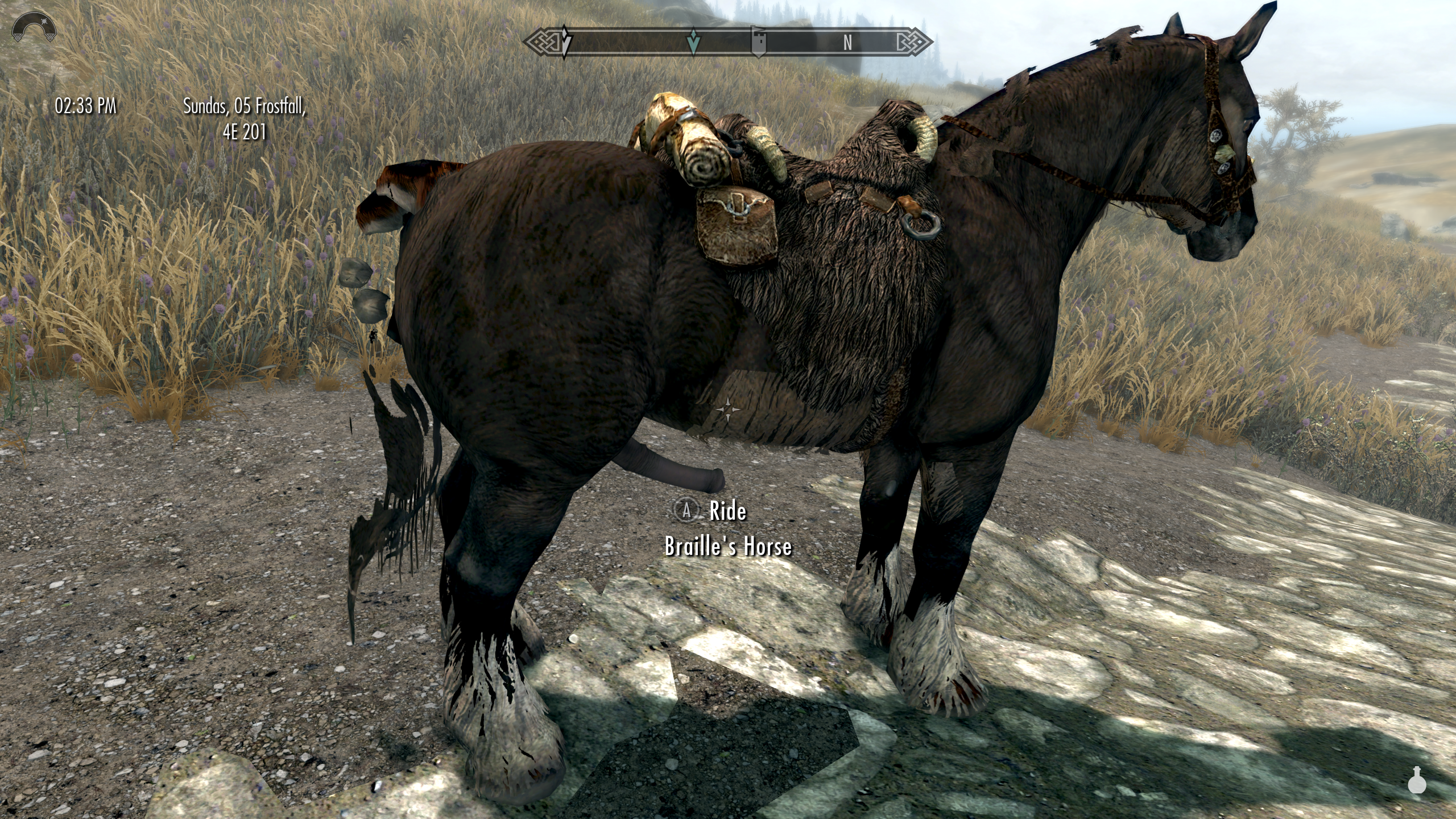 Broken horse textures (NSFW creature) - Skyrim Technical Support - LoversLab