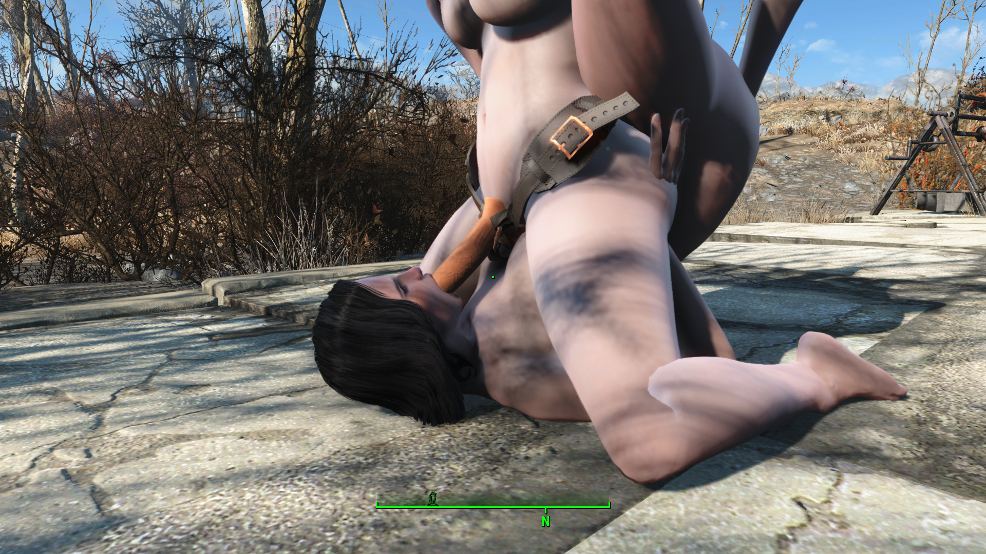 Fallout49_12_20232_17_04PM.png.936214ef813751109496a244156e4955.png