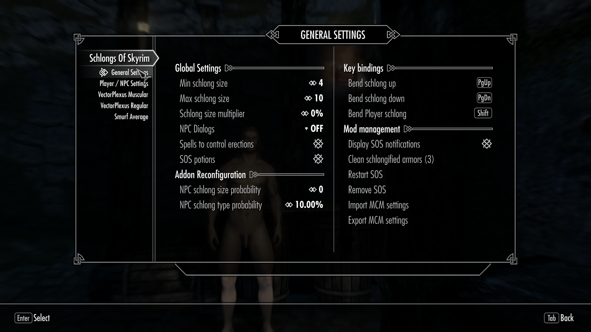 Schlongs_of_Skyrim_AE it 100 percent works '...' Adult Mods LoversLab