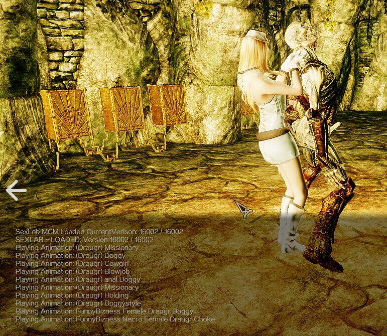 Sexlab Animation Loader Guide Page 11 Downloads Skyrim Adult And Sex Mods Loverslab