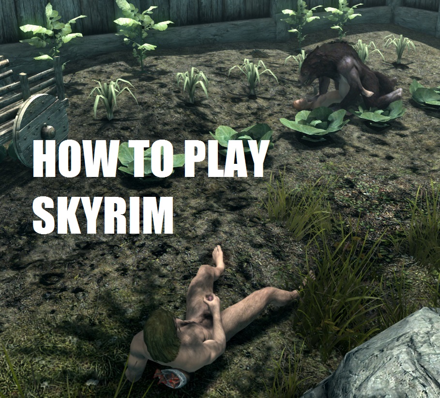 Sexlab Light Se Development Thread Skyrim Special. 