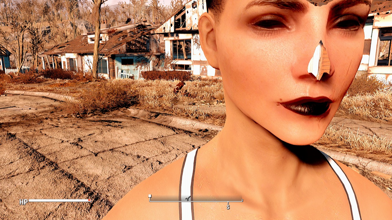 Fallout 4 Misc Hairstyle - hairstyle how to make