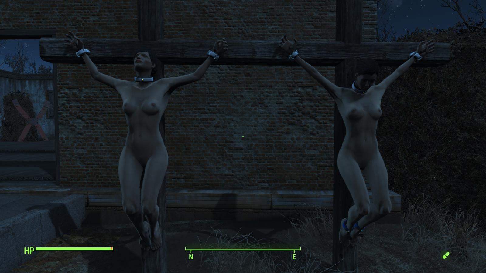 Fallout 4 slave and model poses фото 9