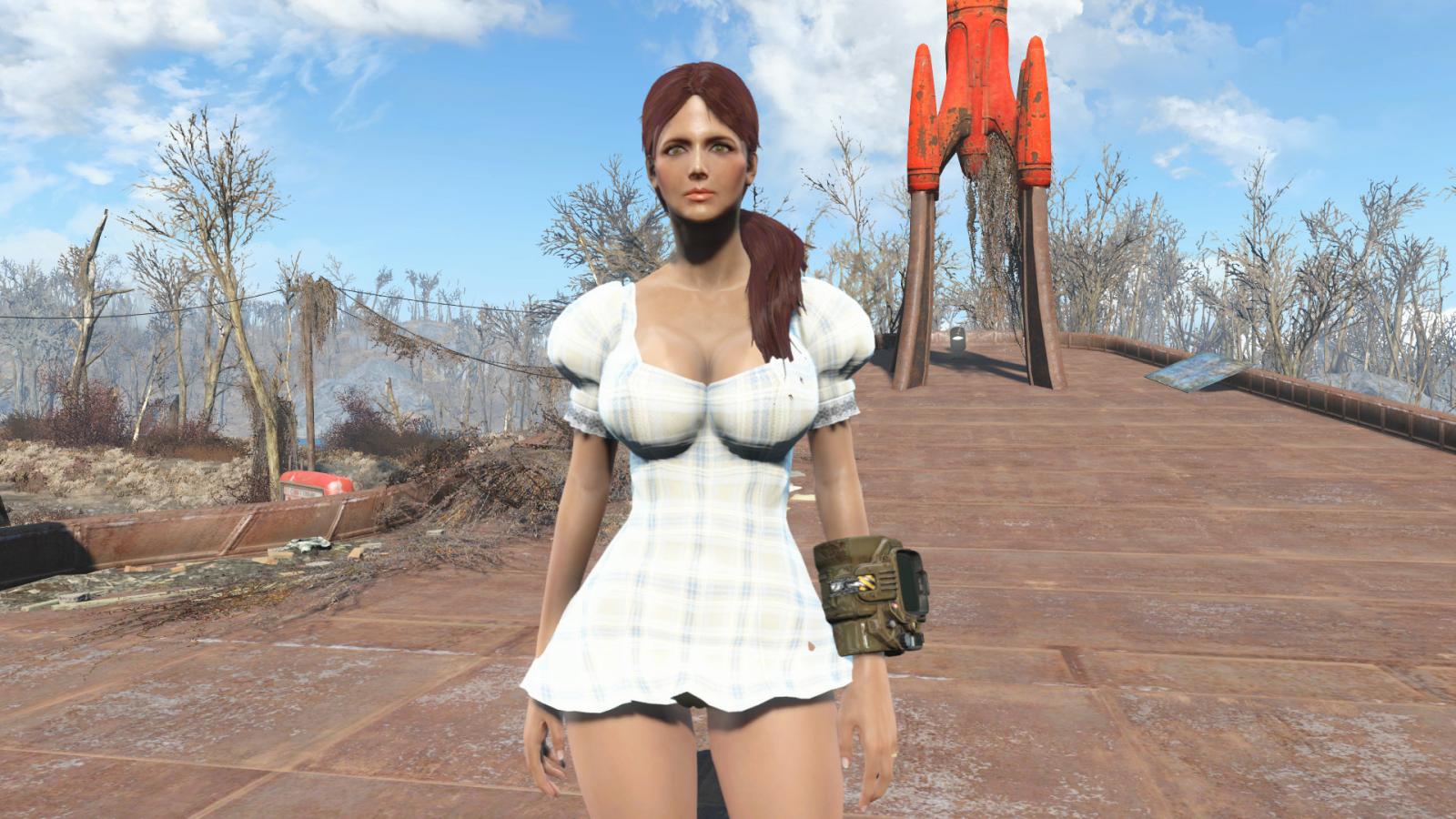 Does anyone know if the SoS mod for Skyrim could be re-done/converted to Fo4...