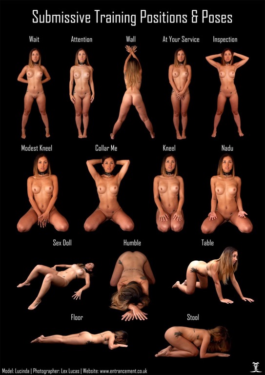 I search some submissive poses (standing or on knees) and dominant or spank...