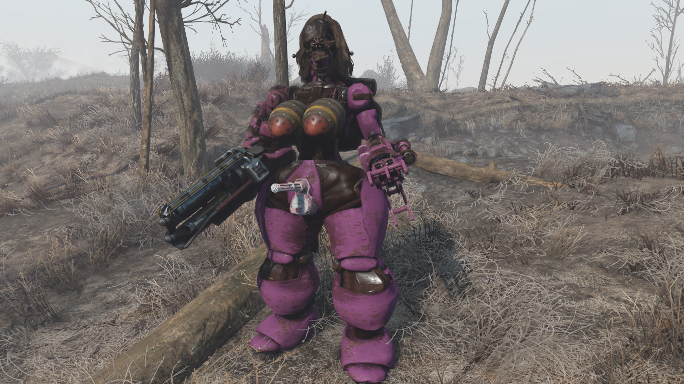 Fallout 4 ада компаньон фото 35