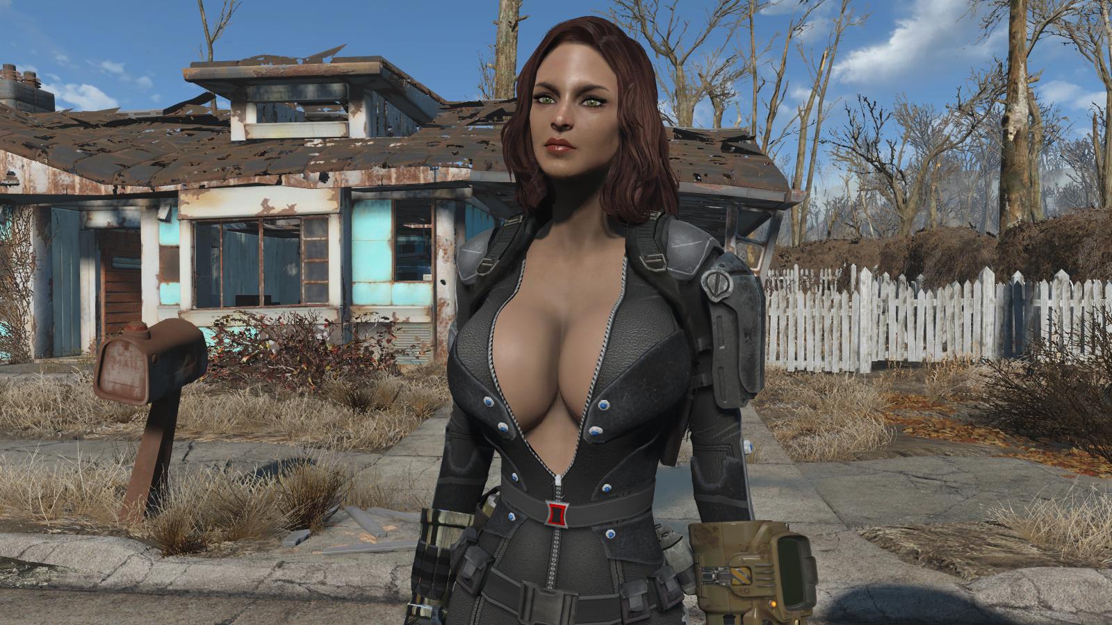 Gallery of Armor 4 Skimpy Fallout Replacermod.