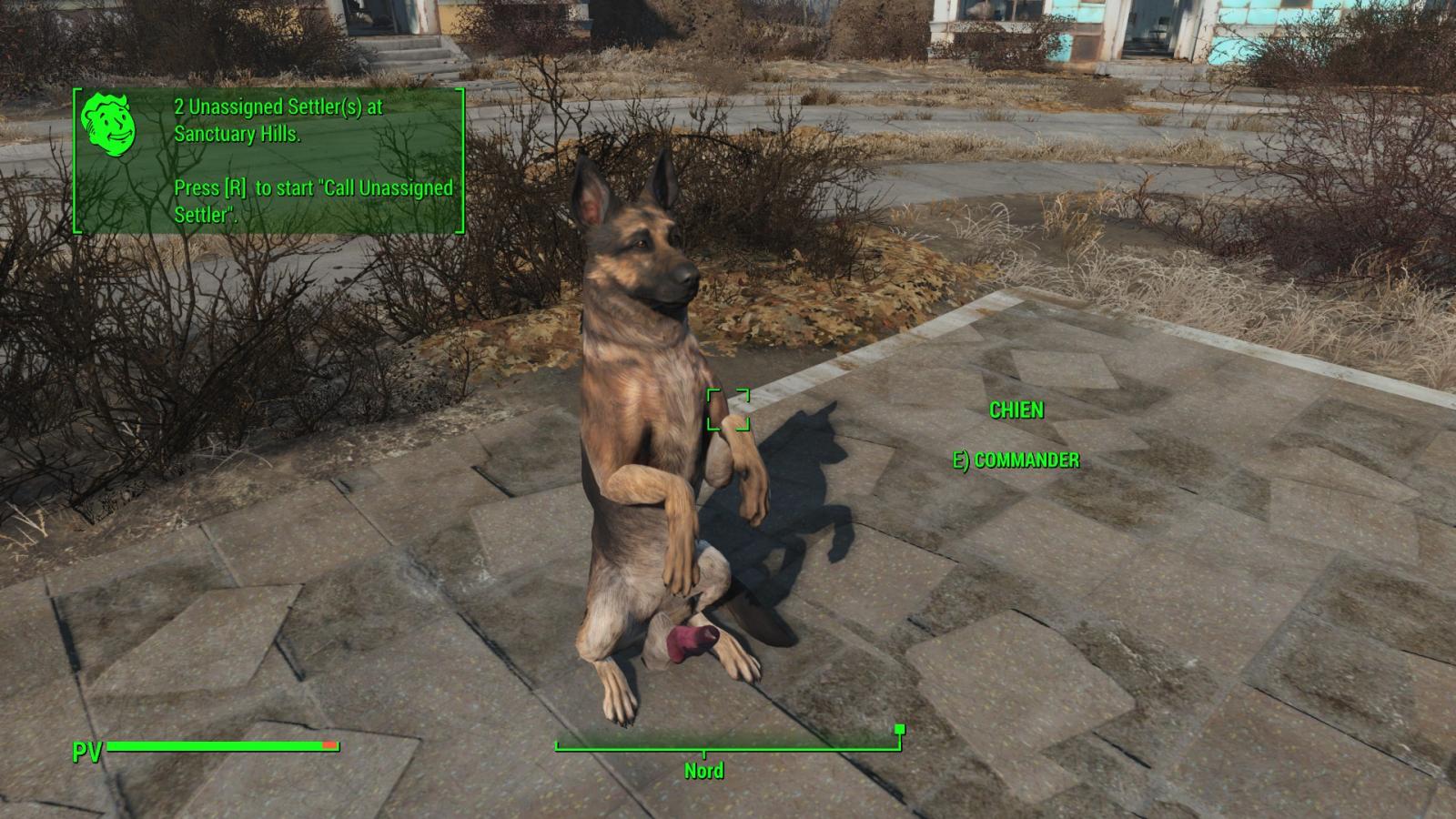 Fallout 4 пропала собака как вернуть фото 92