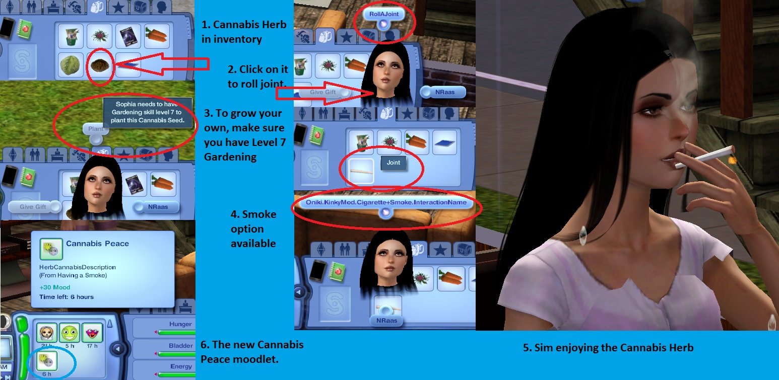Sims 3 Kinky World