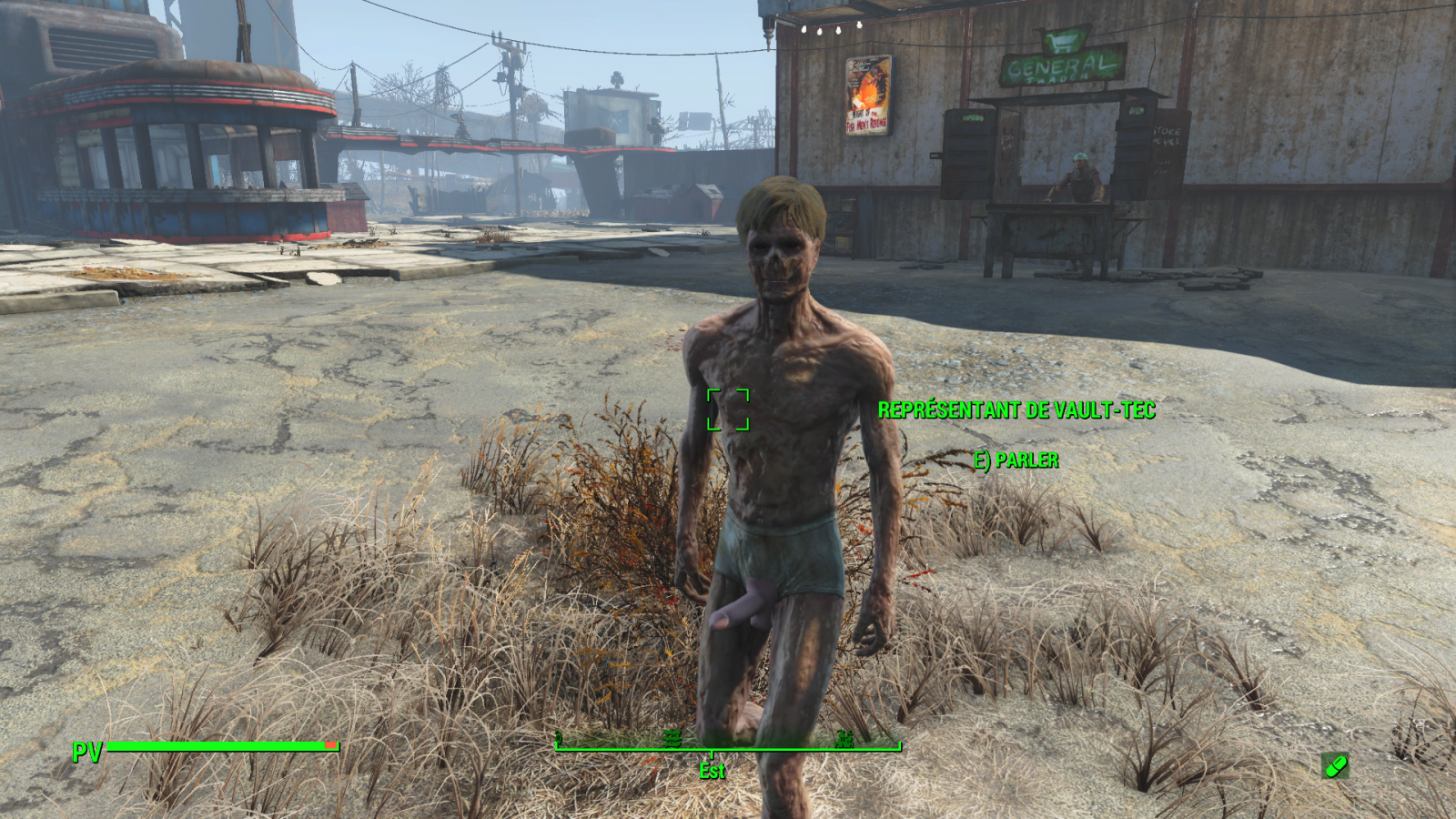 Fallout 4 four play animations фото 21