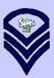 SimSergeant