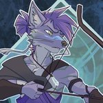 Donaar